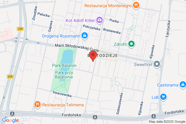 Sokolowska Barbara, lek. medycyny pracy. Badania profilaktyczne pracowników, badania kierowców