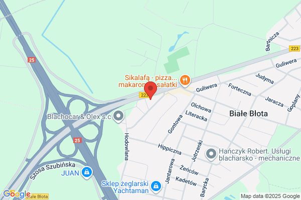 Dab. Warsztat Terapii Zajeciowej