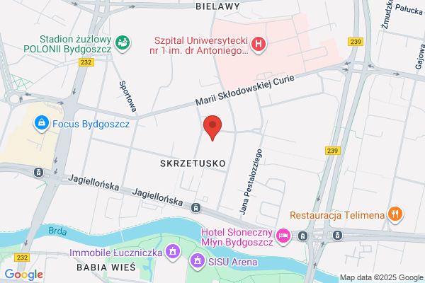 Czerniejewski Marcin. Przedsiebiorstwo wielobranzowe