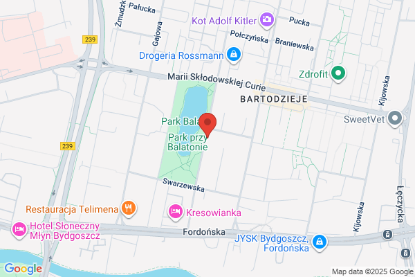 Gryczynska Zdzislawa. Biuro rachunkowe