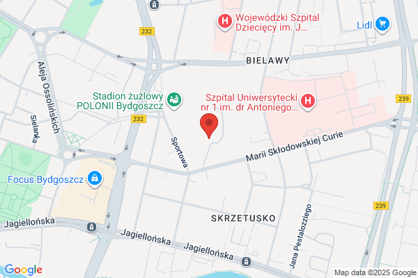 Polonia. Restauracja, wesela, komunie