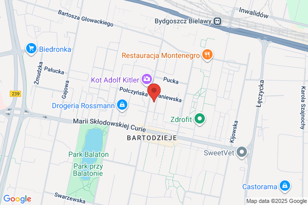 Chlopek Leszek, rzeczoznawca techniki samochodowej i ruchu drogowego, biegly sadowy