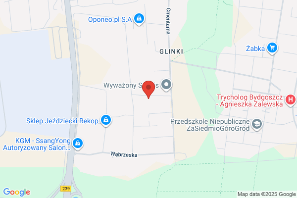 Birkholz Alfred G. Konserwacja i naprawa pojazdów samochodowych, blacharstwo samochodowe