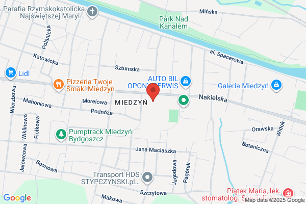 Skoraczewski Janusz. Naprawy blacharsko - lakiernicze