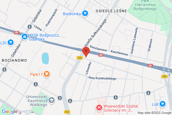 Auto Elektro. Serwis