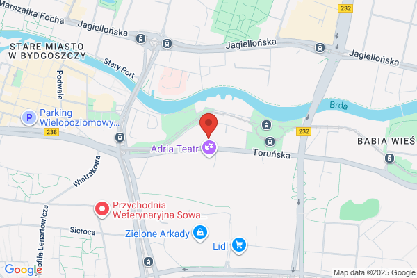 Auto-Heart. Elektromechanika i instalacje gazowe