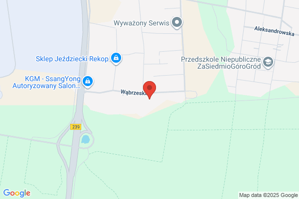 Graczkowski Maksymilian. Naprawa resorów i zwrotnic