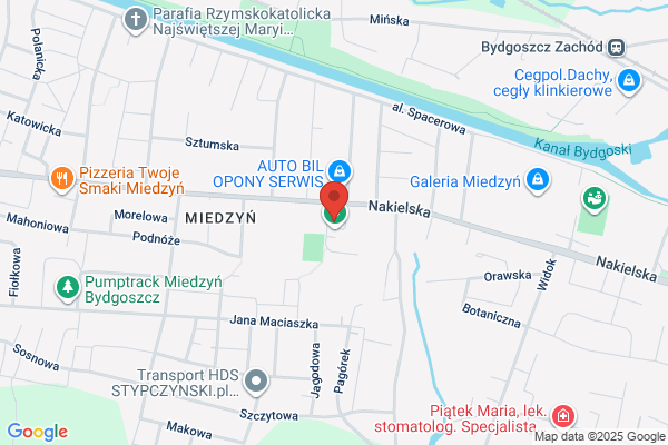 Woloch Marek. Naprawa resorów