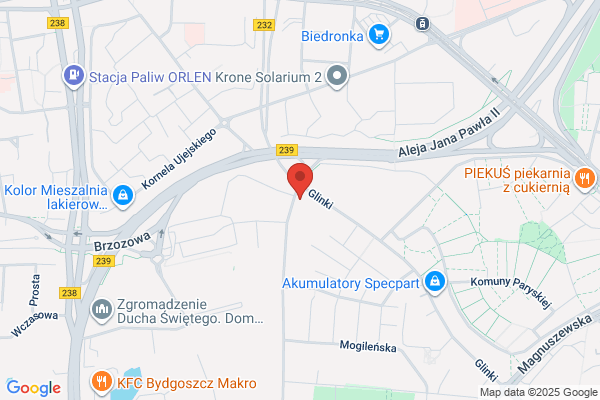 Kujaczynska Izabela. Mechanika pojazdowa