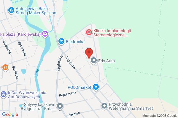 PM Cars. Mechanika pojazdowa. Paluch S.
