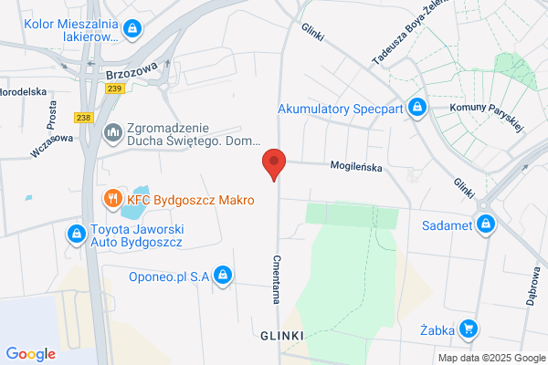 Rojtek Kazimierz. Autonaprawa