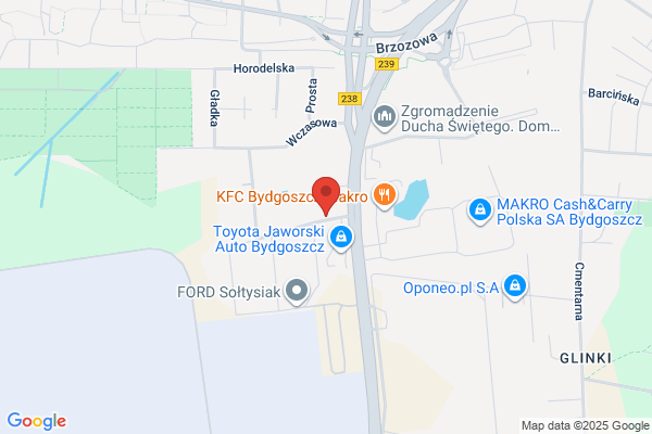 Avis Poland. Wynajem samochodów osobowych i dostawczych