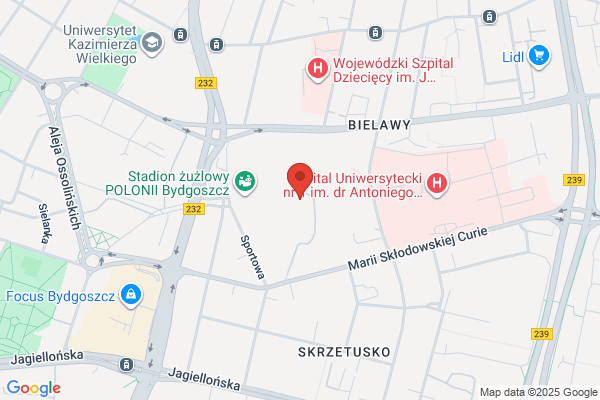 Polonia. Bydgoskie Towarzystwo Zuzlowe