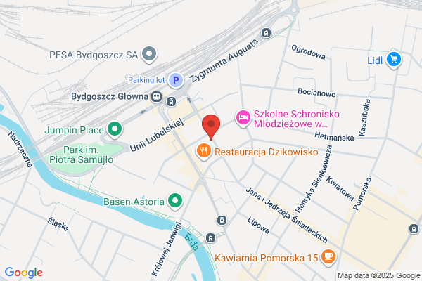 Peritus. M. Piszczek, B. Pliszczynski. Centrale
