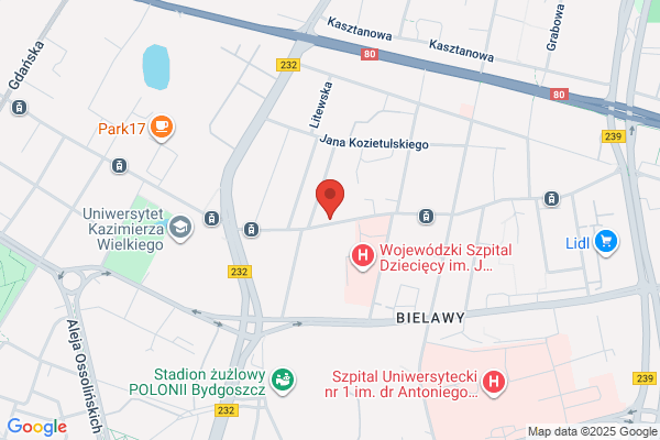 Poplawska Kinga. Tereny zieleni
