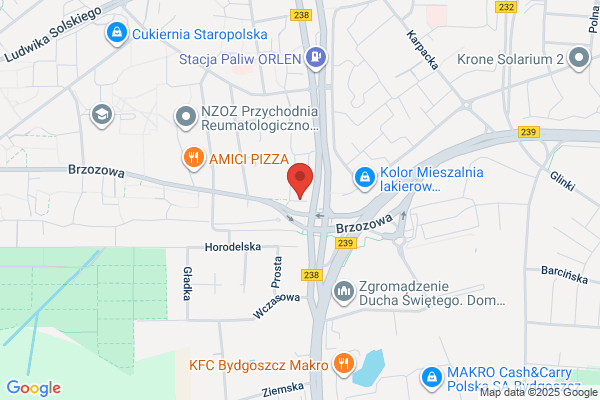 Lisinski Daniel. Tlumacz przysiegly jez. niemieckiego