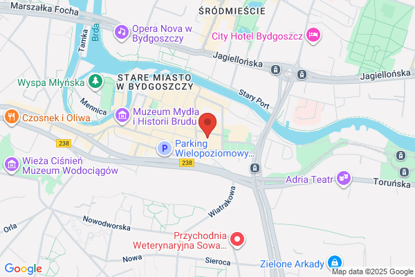 Kruszka Katarzyna. Tlumacz przysiegly jez. wloskiego