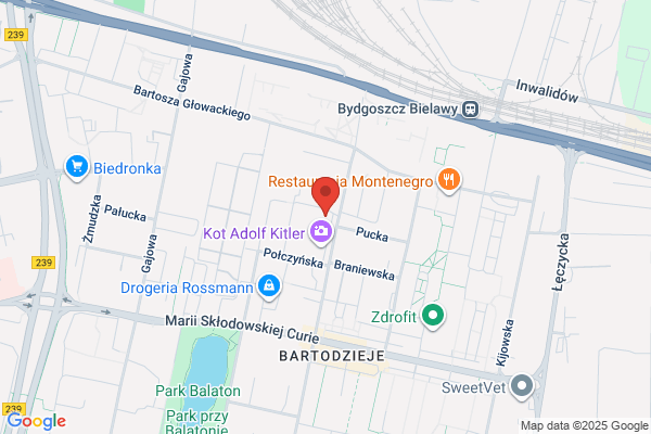 Tucholska Alicja, mgr. Tlumacz przysiegly jez. niemieckiego