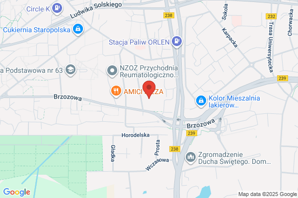 Karczewska Dorota E. Uslugi transportowe
