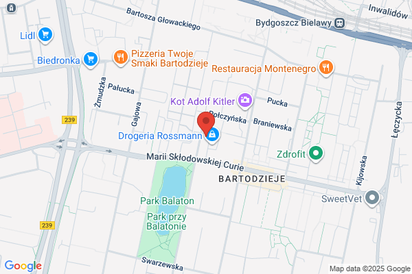 Syntec Oil SC. Agencja spólki Warta SA. Jablonski A., Wojtaszak M.