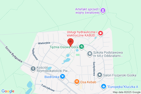 Cezar. Gabinet weterynaryjny. Krause E.
