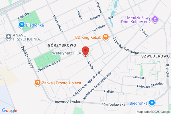 Fila. Klinika weterynaryjna. Michalski J.