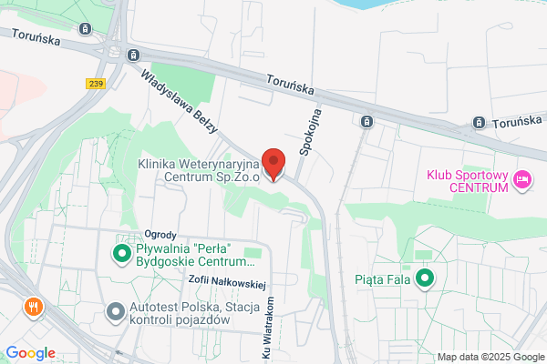 Lecznica dla zwierzat