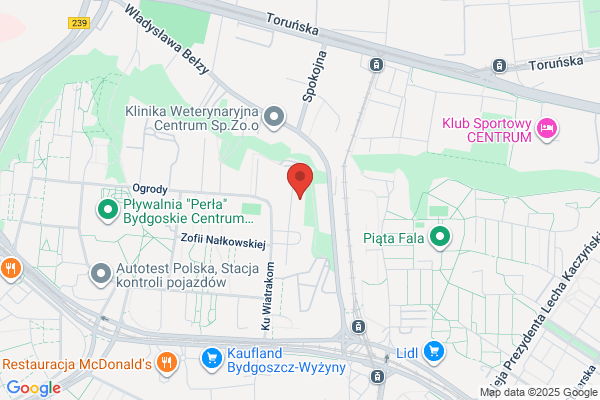 Petsy - domowy hotel dla psów i kotów | Bydgoszcz
