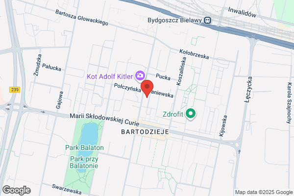 Baster. Rzeczoznawca systemów alarmowych