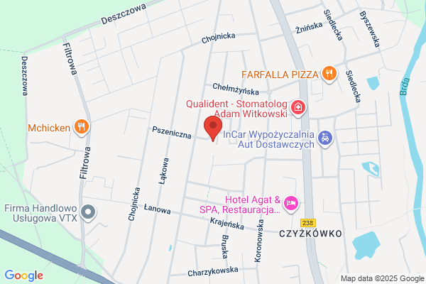 Reksio. Art. dla zwierzat. Szczesniak Z.
