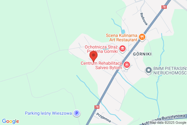 Szkot-Szanty. Organizacja koncertów szantowych