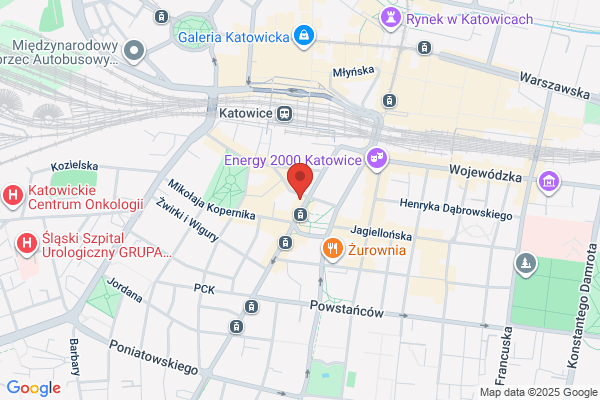 Kredyt Bank SA. I Oddzial w Katowicach. Filia nr 2