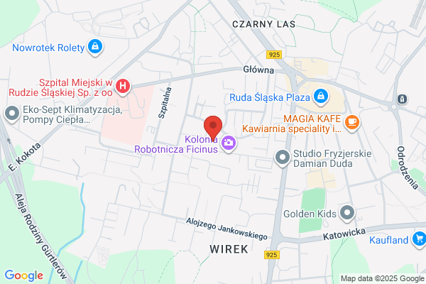 Pro-San SC. Projektowanie