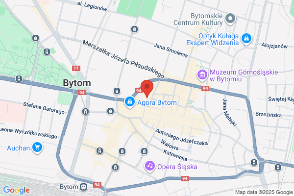 Bizbud. PHU. Bizon J.