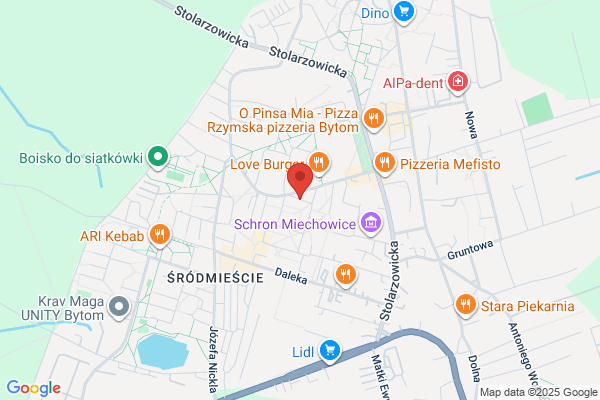 Kamelia. FH. Dziurok G.