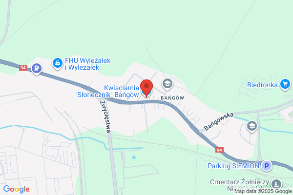 Slonecznik. Kwiaciarnia