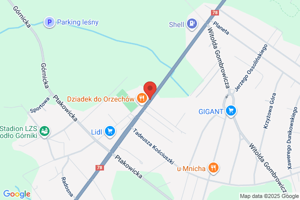 Sekwoja. Pielegnacja drzew i ogrodów. Gorzkowski Bartosz