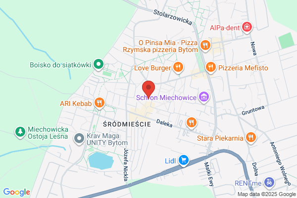 Mazur Kazimierz. Uslugi transportowo - turystyczne