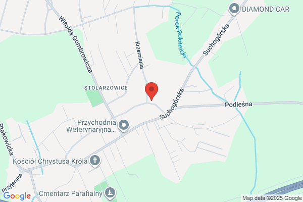 Wyszynski Emil. Uslugi transportowe