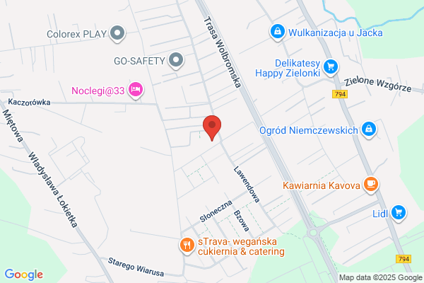Geo-Info. Uslugi geodezyjne. Wrona T.