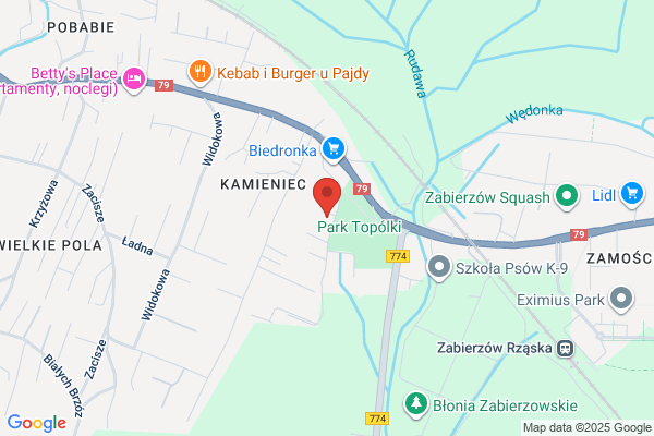Kozynacki Adam. Elektromechanika pojazdowa