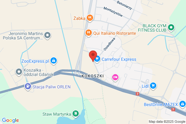 Rozenbajgier Stanislaw. Uslugi transportowe osób