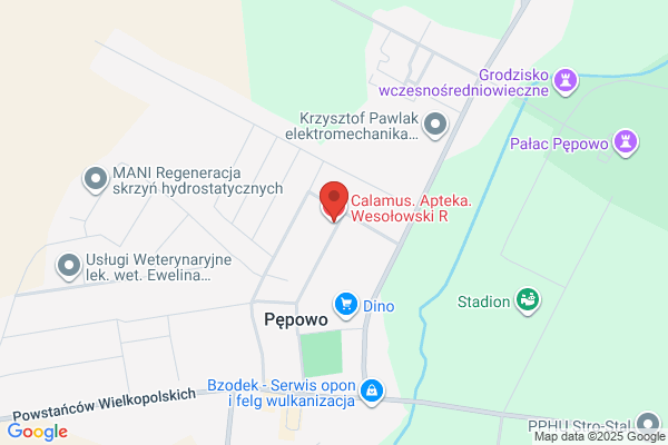 Calamus. Apteka. Wesolowski R.