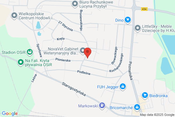Powiatowy Bank Spóldzielczy w Gostyniu. Filia