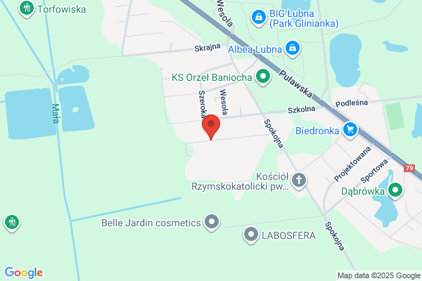 Ans. Nizinska-Stojek A.