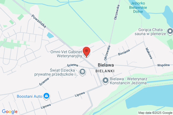 Bielcka Anna. Uslugi weterynaryjne