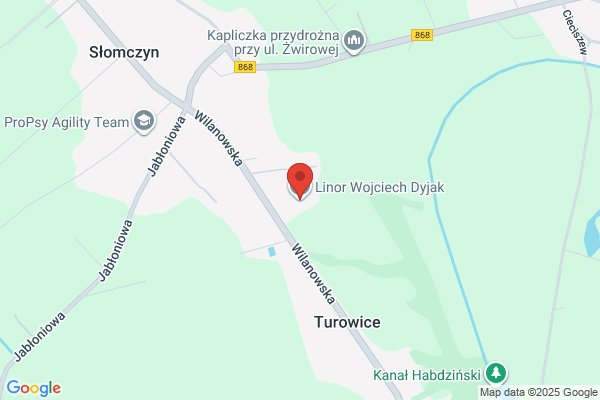 Linor. Wyrób linek do samochodów i maszyn. Dyjak W.