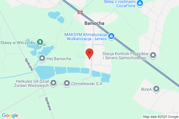 Uslugi autokarowe