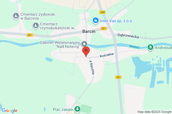 Kaluzny Roman. Licencjonowany zaklad ochrony instytucji