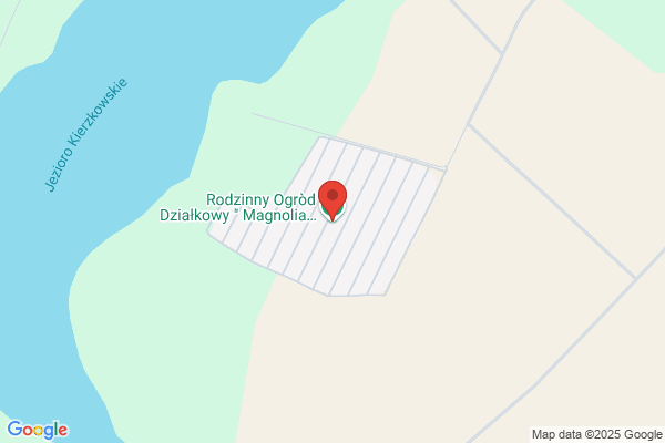 Magnolia. Pracowniczy Ogród Dzialkowy. Zarzad